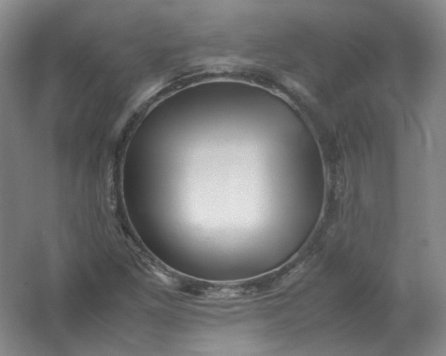 X0000062171261200512231616