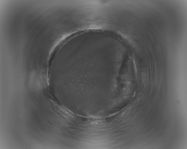 X0000062171262200512231616