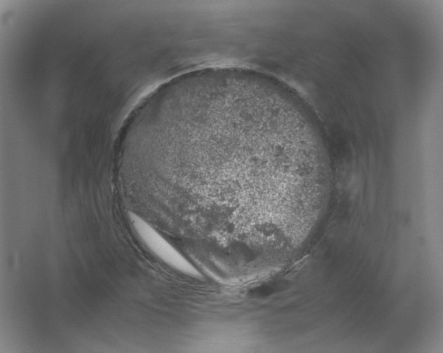 X0000062171263200512231616