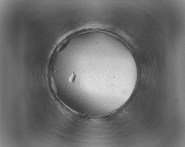 X0000062171264200512231616