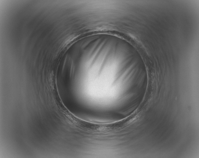 X0000062171265200512231616