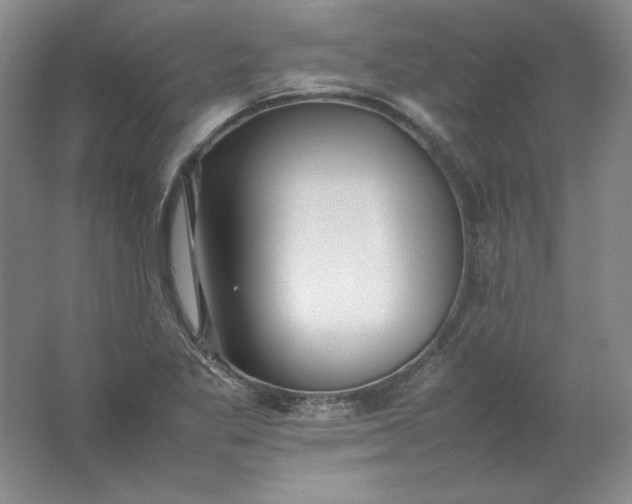 X0000062171269200512231616