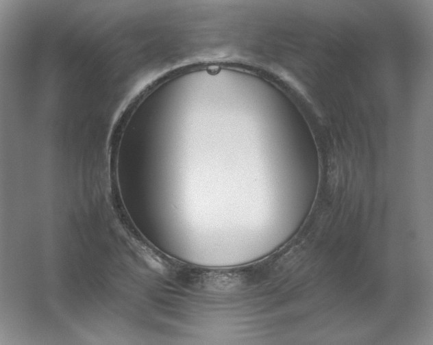 X0000062171270200512231616