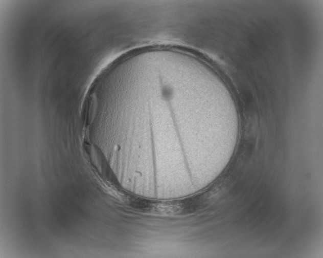 X0000062171271200512231616