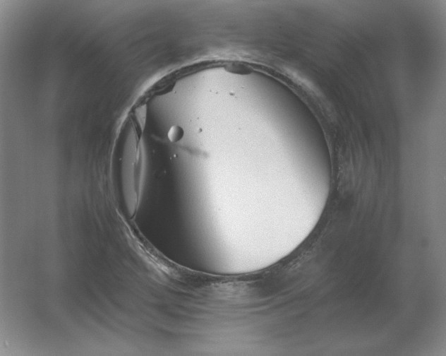 X0000062171272200512231616