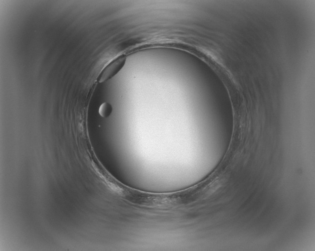 X0000062171273200512231616