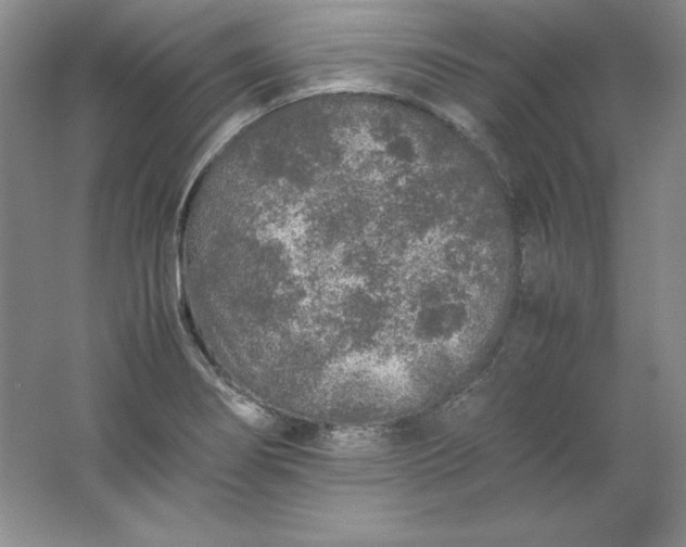 X0000062171274200512231616