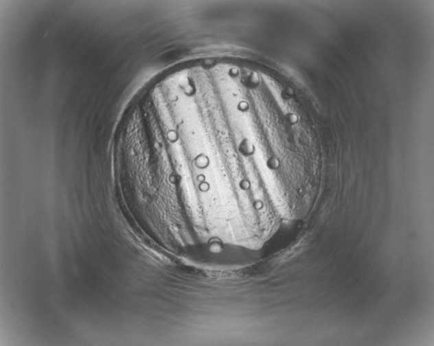 X0000062171275200512231616