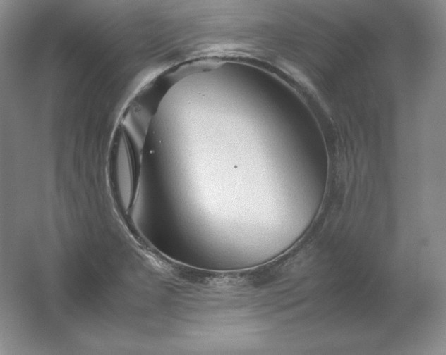 X0000062171277200512231616