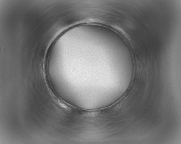 X0000062171278200512231616