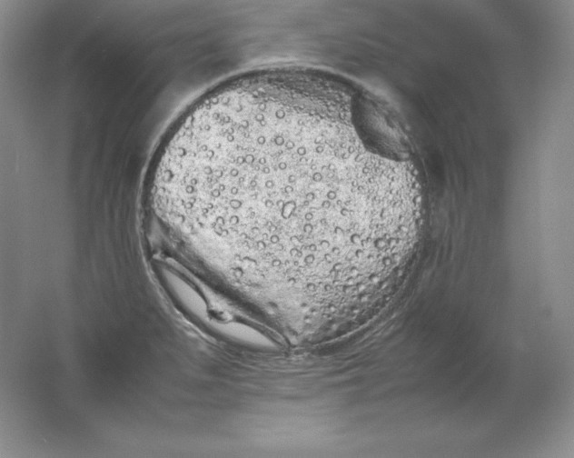 X0000062171279200512231616