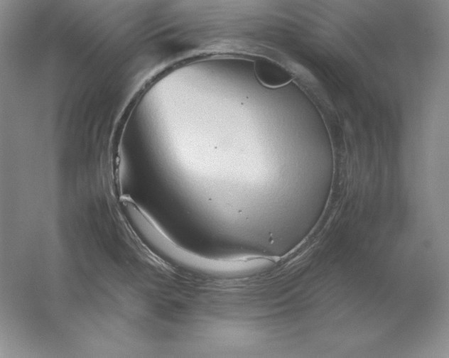 X0000062171280200512231616