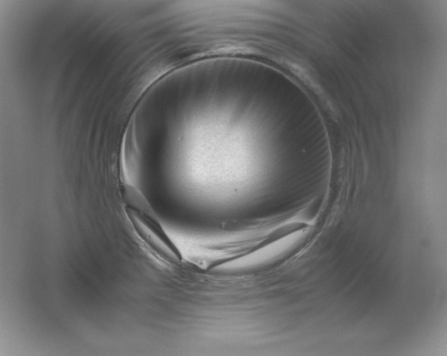 X0000062171281200512231616