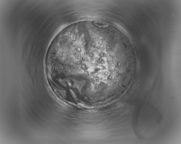 X0000062171283200512231616