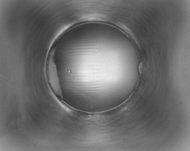 X0000062171285200512231616