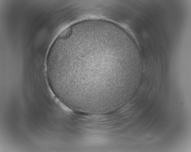 X0000062171287200512231616