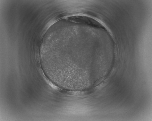 X0000062171289200512231616