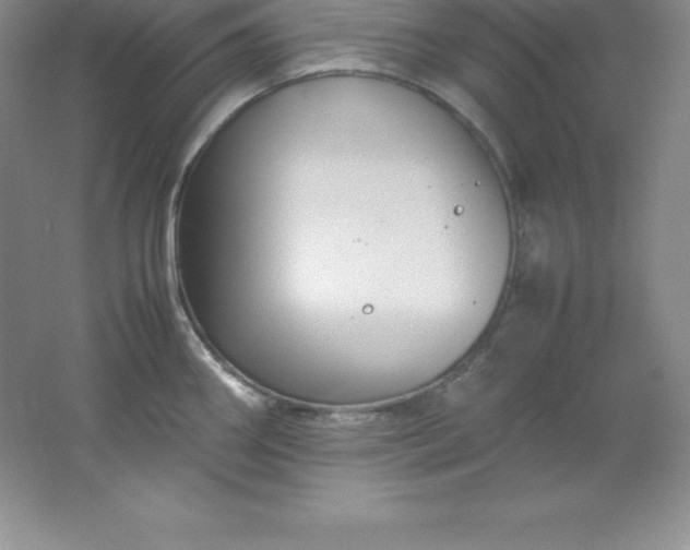 X0000062171290200512231616