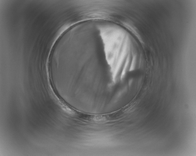 X0000062171291200512231616