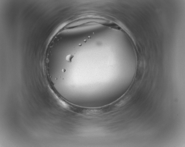 X0000062171293200512231616