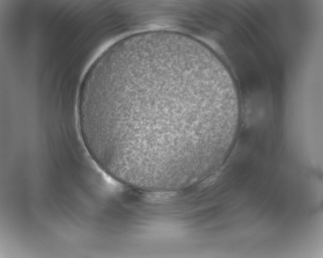 X0000062171294200512231616