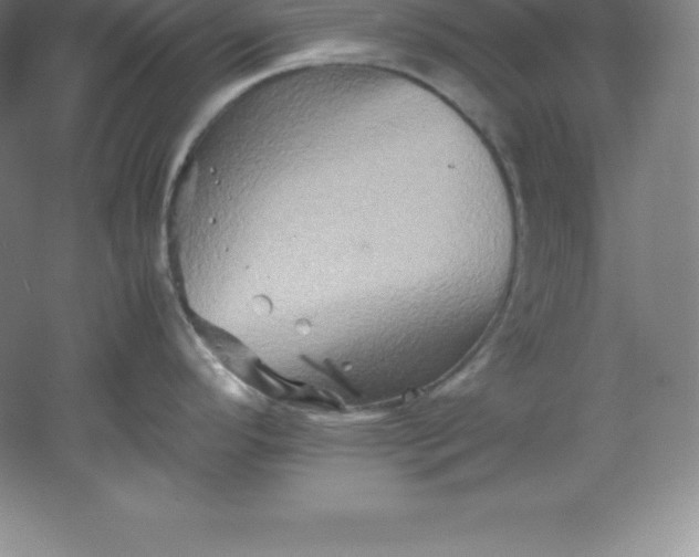 X0000062171296200512231616