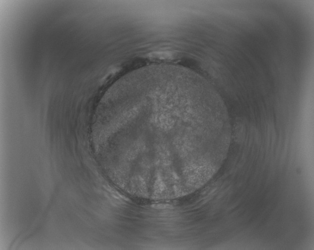 X0000062171297200512231615