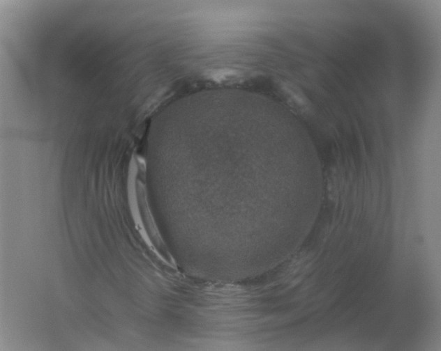 X0000062171298200512231615