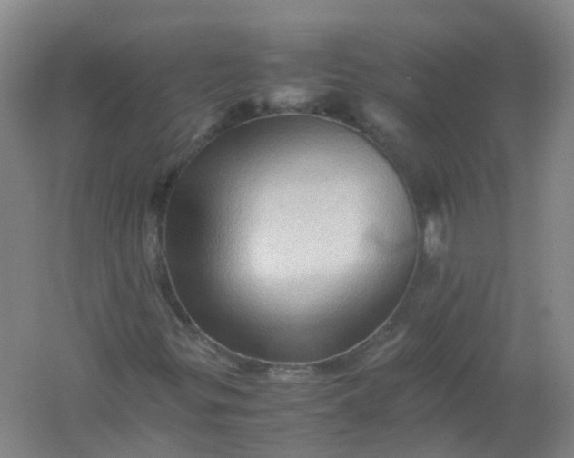 X0000062171299200512231615