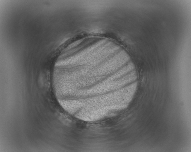 X0000062171301200512231615