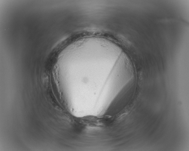 X0000062171302200512231615