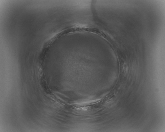 X0000062171303200512231615