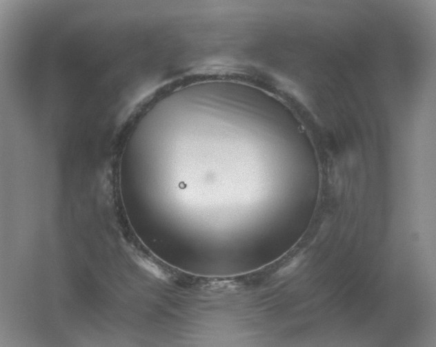 X0000062171304200512231615