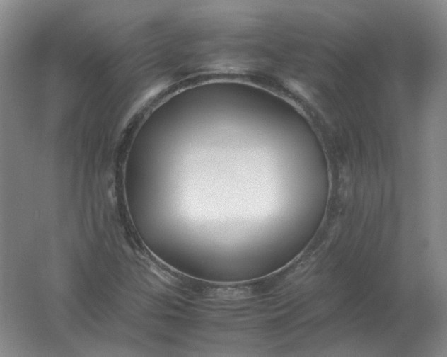 X0000062171307200512231615