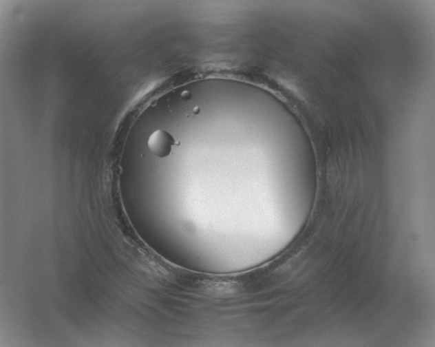 X0000062171309200512231615