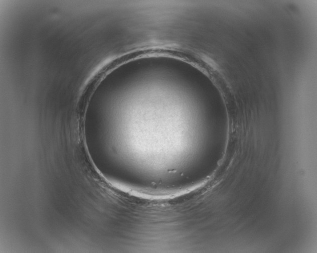 X0000062171310200512231615