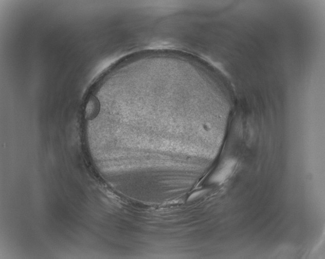 X0000062171311200512231615