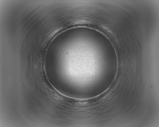 X0000062171313200512231615