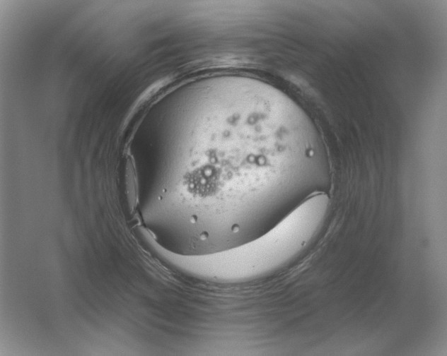 X0000062171314200512231615