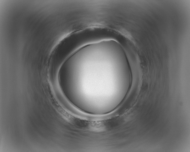 X0000062171317200512231615