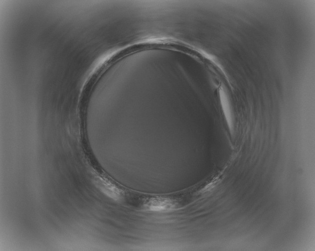 X0000062171319200512231615