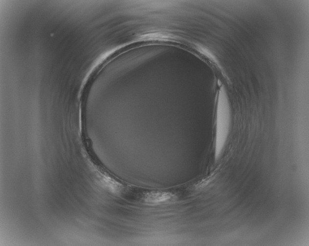 X0000062171323200512231615