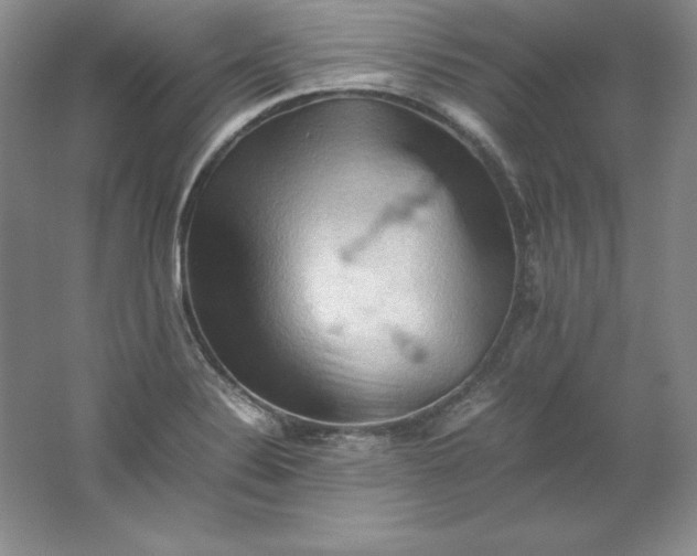 X0000062171324200512231615