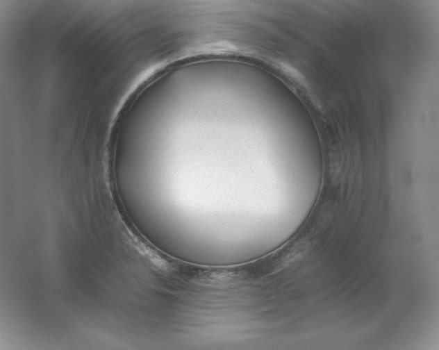 X0000062171326200512231615