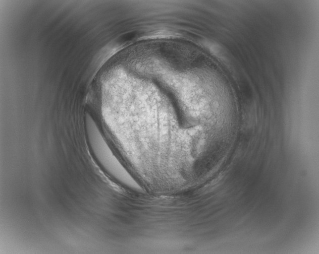 X0000062171329200512231615