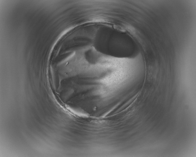 X0000062171331200512231616