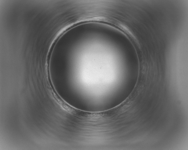 X0000062171332200512231616