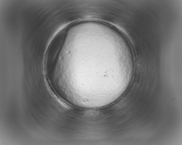 X0000062171333200512231616