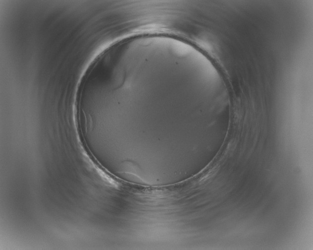 X0000062171334200512231616