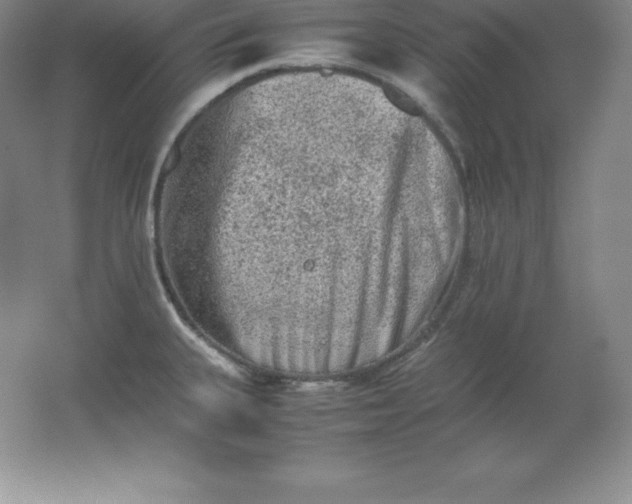 X0000062171335200512231616